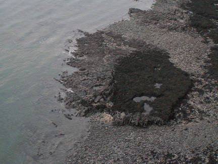 20061225 170600